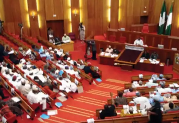 Nigerian Senate Initiates 2 Bills To Fight Drug Abuse